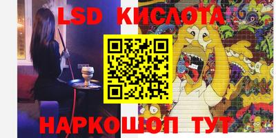 мяу мяу мука Краснознаменск
